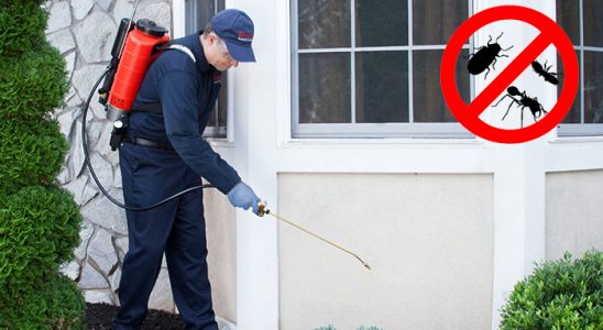 Sulusaray Böcek ve Haşere İlaçlama böcek ilaçlama ve haşere kontrolü — ilaclama-tr.com